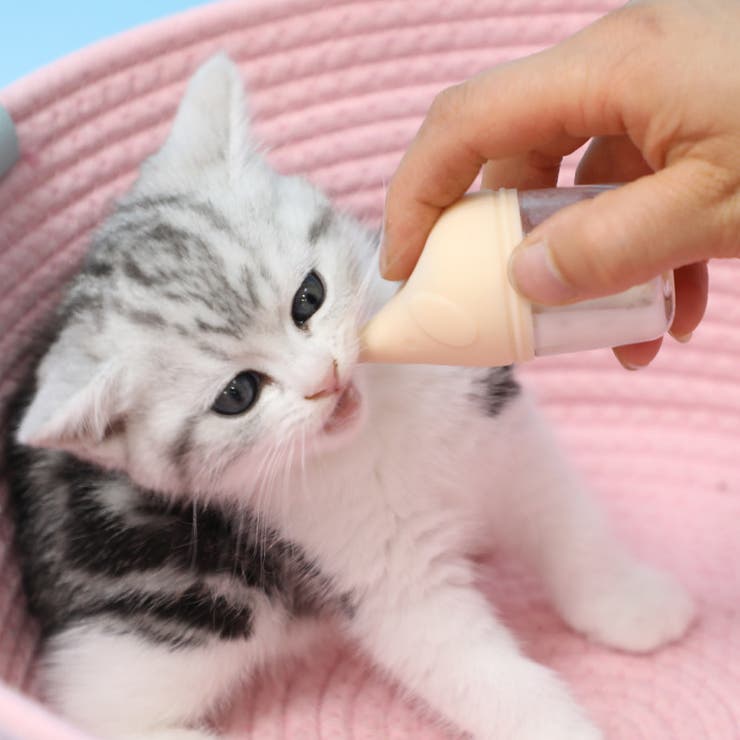 ペット用哺乳瓶 哺乳器 50ml | PlusNao | 詳細画像2 