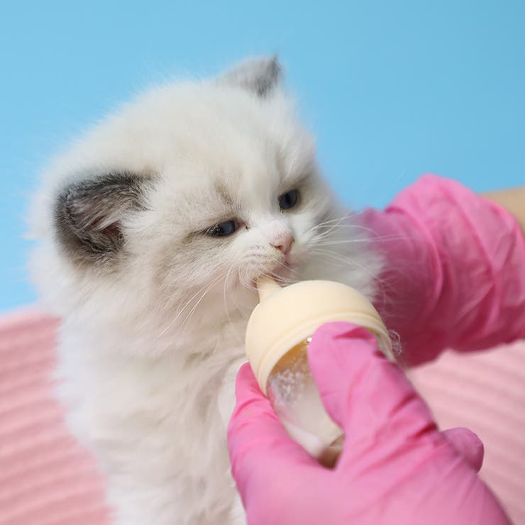 ペット用哺乳瓶 哺乳器 50ml | PlusNao | 詳細画像3 