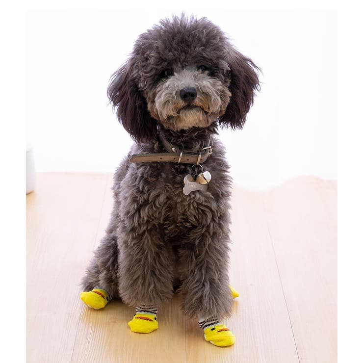 犬用靴下 4枚セット 1足分 | PlusNao | 詳細画像2