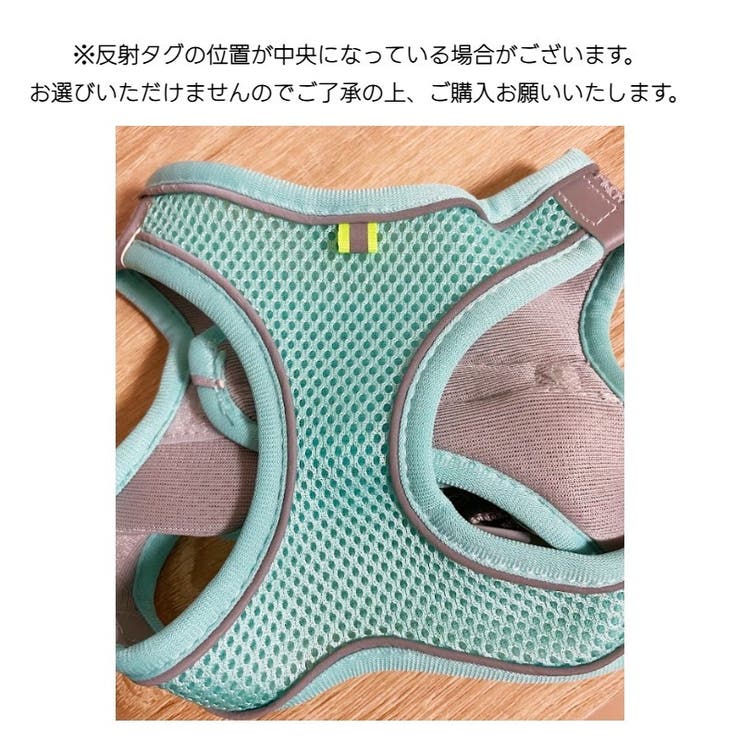 ハーネス リード 2点セット | PlusNao | 詳細画像14 