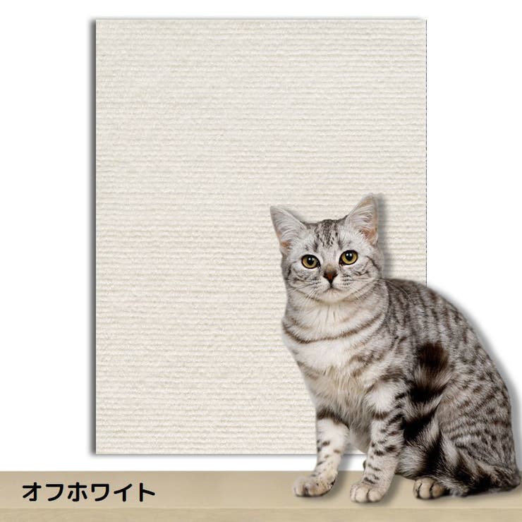 爪とぎシート 猫用 ペット用品 | PlusNao | 詳細画像16 