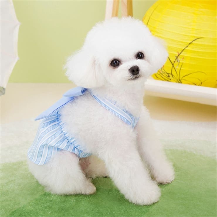 ドックウェア ペットウェア ワンピース | PlusNao | 詳細画像3 