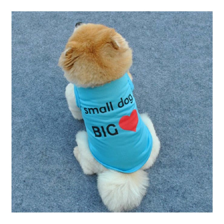 ドッグウェア 犬服 犬用ウェア | PlusNao | 詳細画像3 