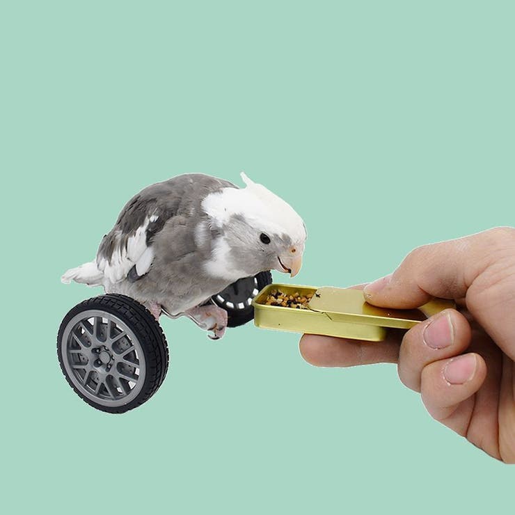 鳥用おもちゃ ペット トリ | PlusNao | 詳細画像4 