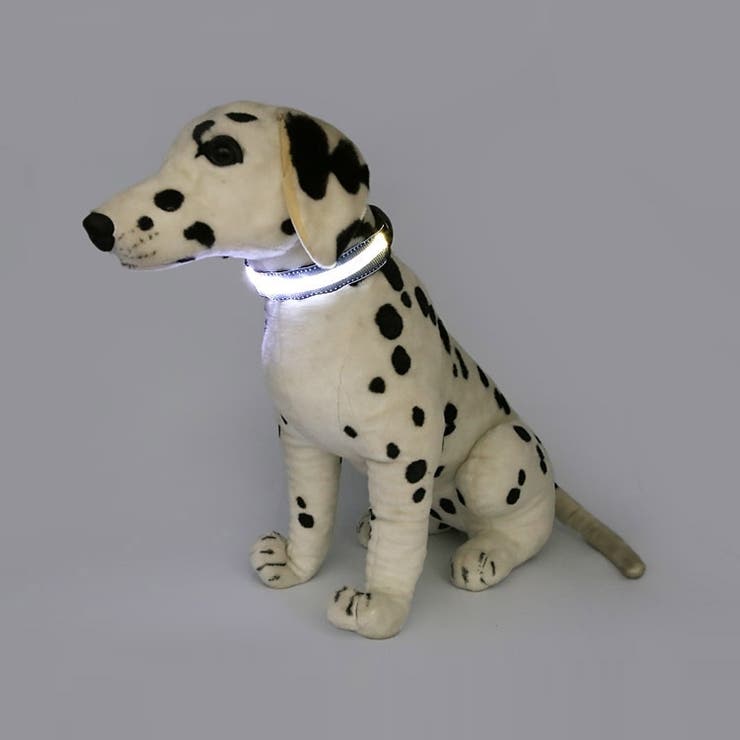 首輪 犬用 光る首輪[品番：FQ000207942]｜PlusNao（プラスナオ）の