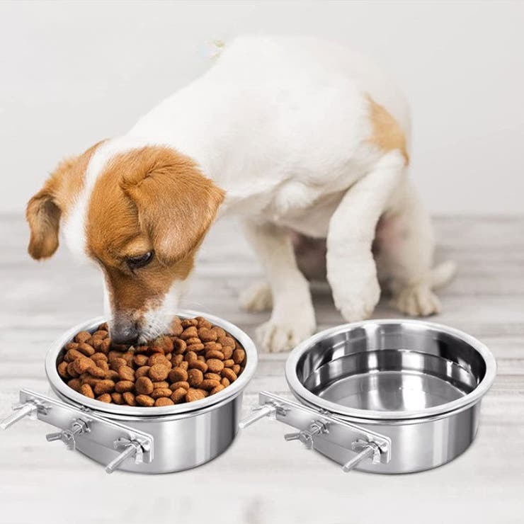 フードボウル ペット用 犬用食器 | PlusNao | 詳細画像2 
