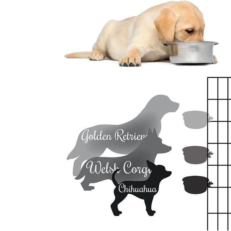 フードボウル ペット用 犬用食器 | PlusNao | 詳細画像4 