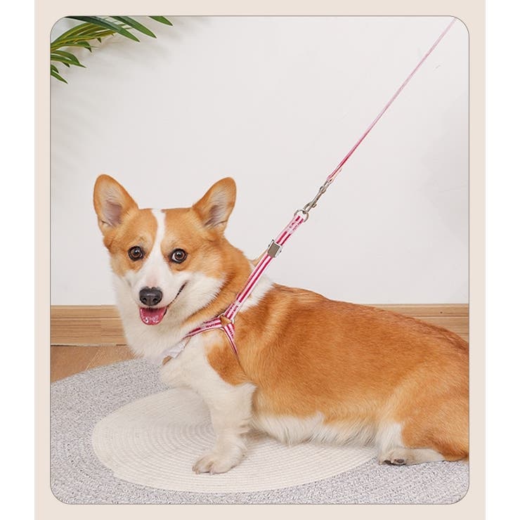 ハーネス リード 2点セット | PlusNao | 詳細画像4 