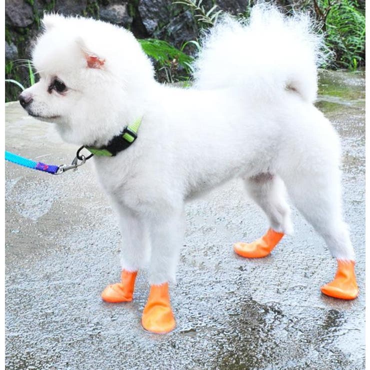 犬用ブーツ レインブーツ ラバーシューズ | PlusNao | 詳細画像5 