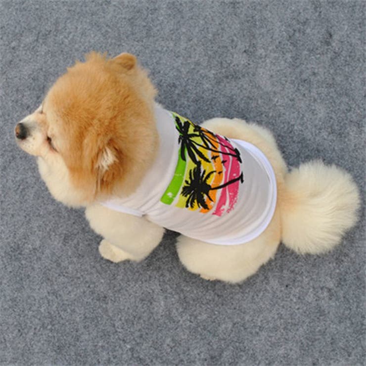 犬の服 ドックウエア ペットウエア | PlusNao | 詳細画像3 