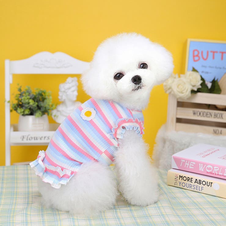 ドッグウェア ペットウェア 犬用 | PlusNao | 詳細画像5 