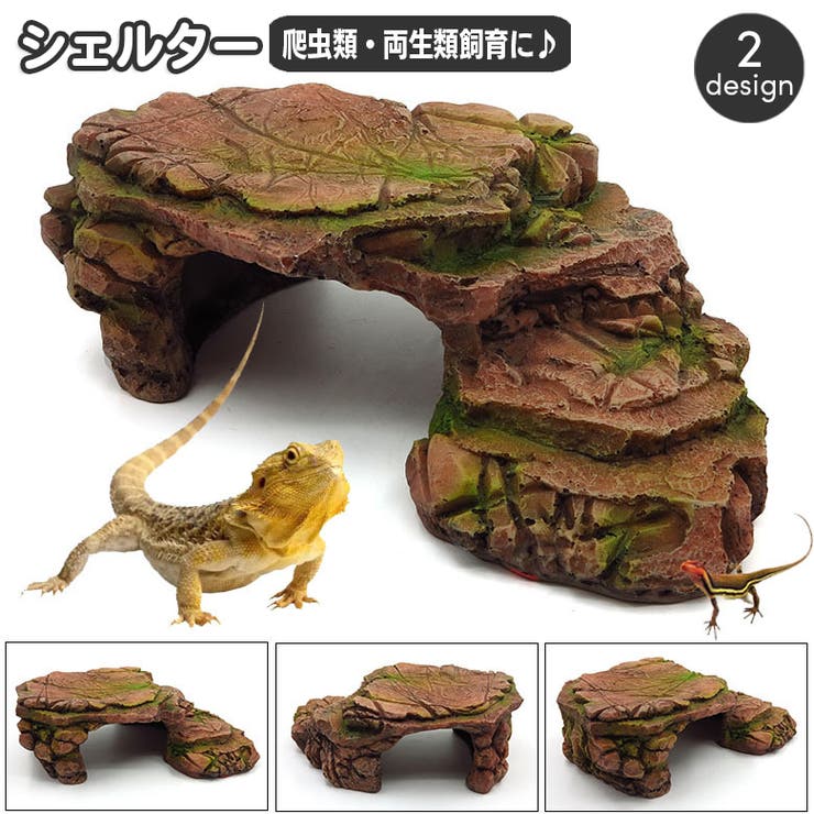 爬虫類 シェルター - 爬虫類/両生類用品