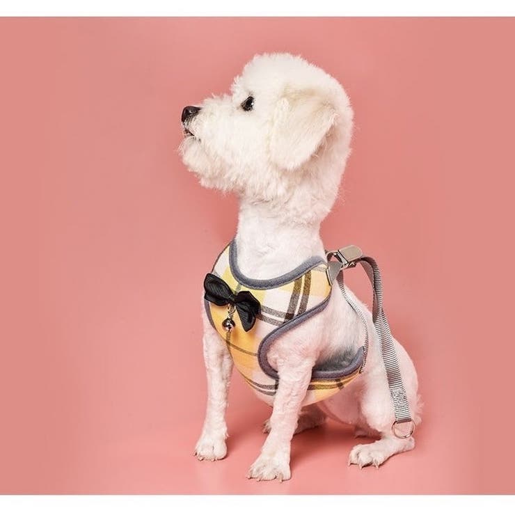 ハーネス リード ２点セット | PlusNao | 詳細画像3 