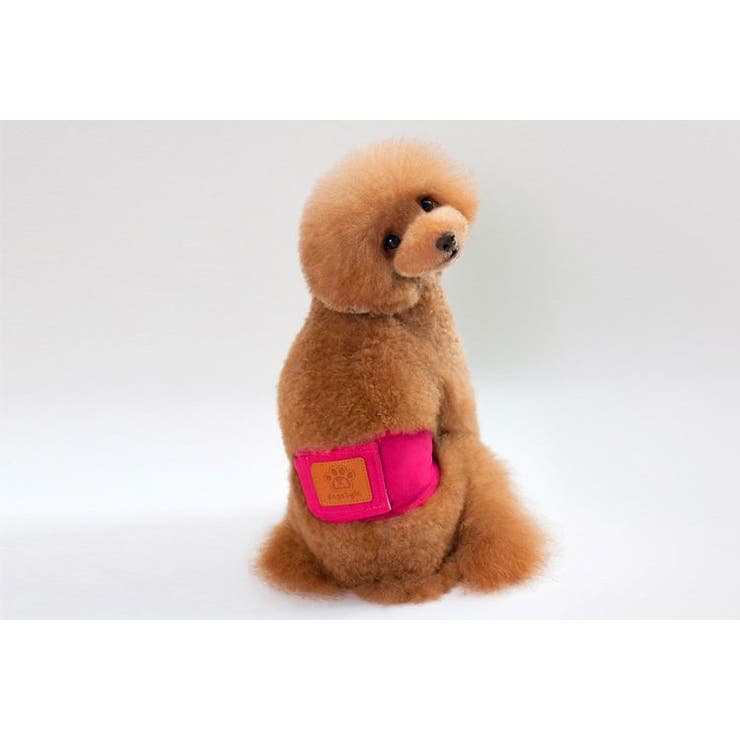 マナーベルト ペット マナーバンド | PlusNao | 詳細画像11