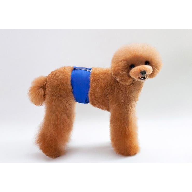 マナーベルト ペット マナーバンド | PlusNao | 詳細画像3