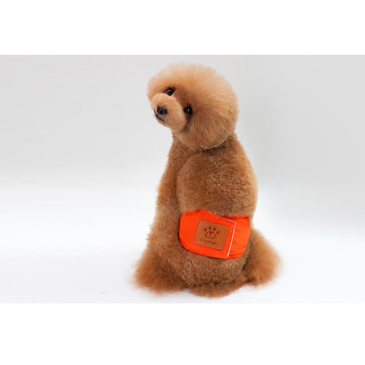 マナーベルト ペット マナーバンド | PlusNao | 詳細画像5