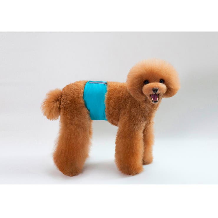 マナーベルト ペット マナーバンド | PlusNao | 詳細画像9