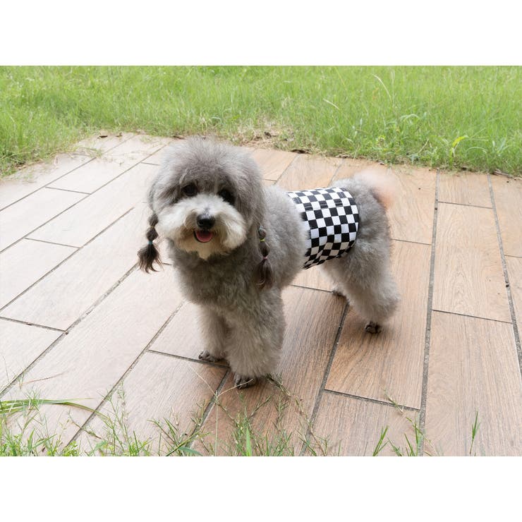 マナーベルト 犬用 3枚セット | PlusNao | 詳細画像10 