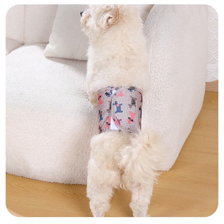 マナーベルト 犬用 3枚セット | PlusNao | 詳細画像3 