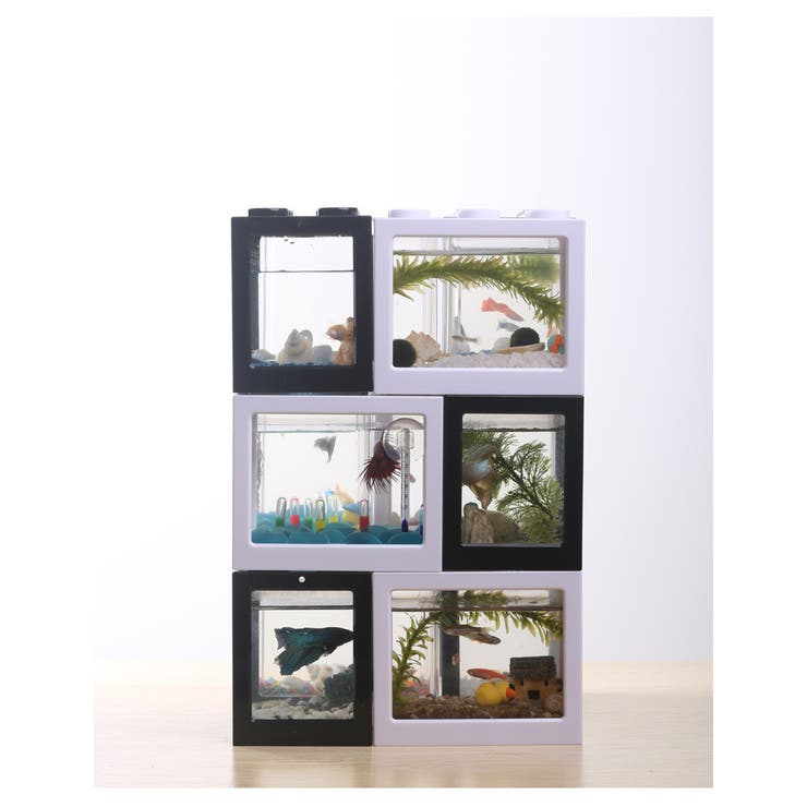 水槽 アクアリウム ブロック | PlusNao | 詳細画像3 