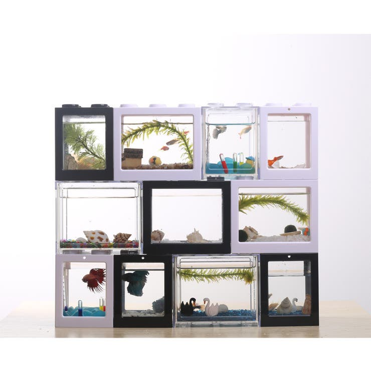 水槽 アクアリウム ブロック | PlusNao | 詳細画像4 