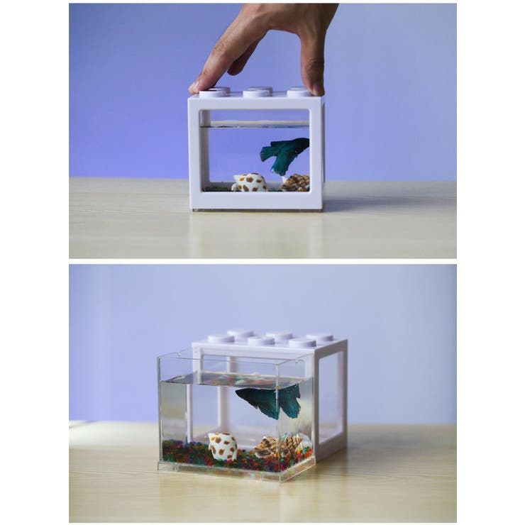 水槽 アクアリウム ブロック | PlusNao | 詳細画像7 