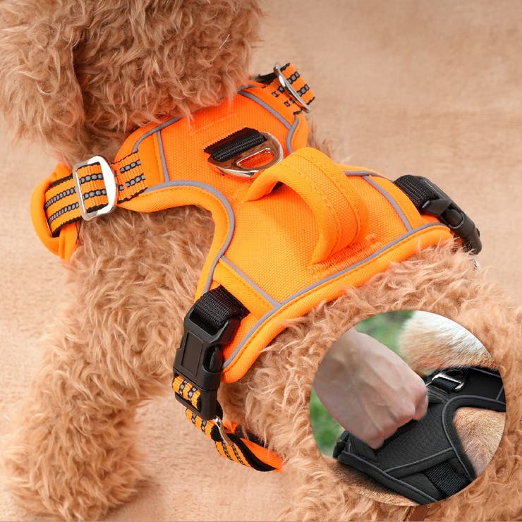 ハーネス 胴輪 単品 | PlusNao | 詳細画像13 