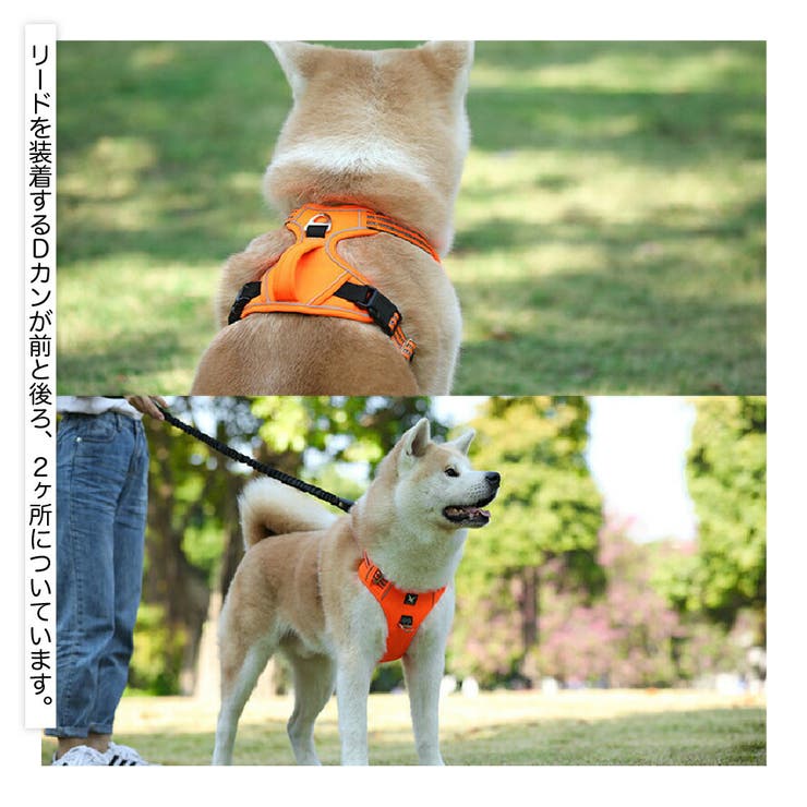 ハーネス 胴輪 単品 | PlusNao | 詳細画像3 