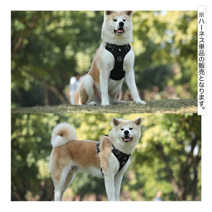 ハーネス 胴輪 単品 | PlusNao | 詳細画像4 