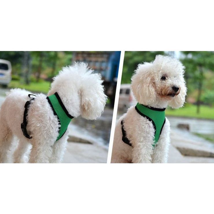 犬用ハーネス 単品 胴輪 | PlusNao | 詳細画像2 