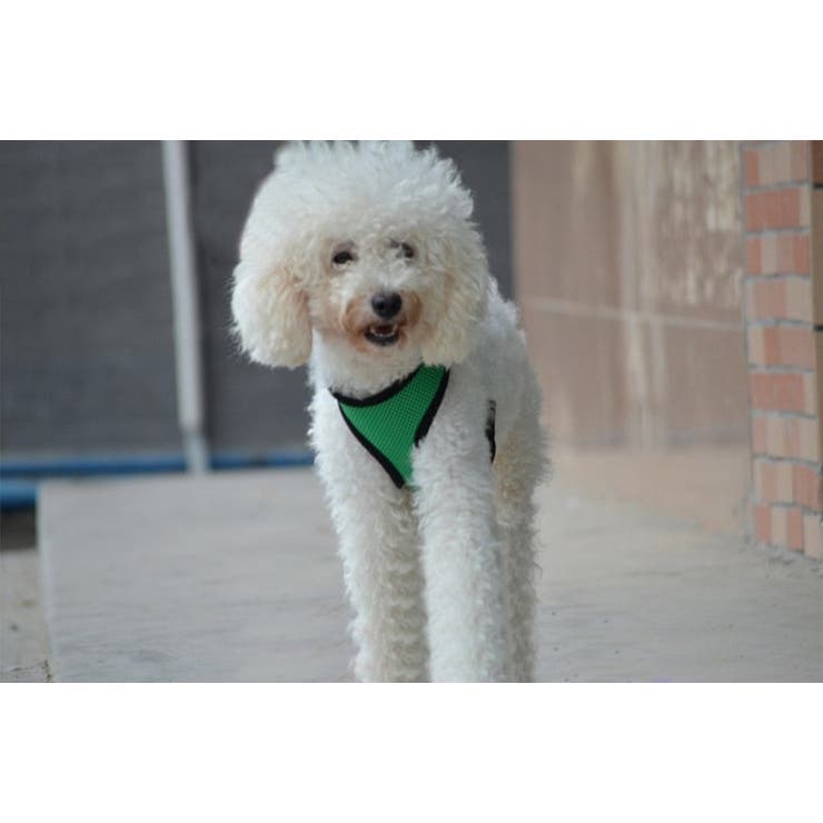 犬用ハーネス 単品 胴輪 | PlusNao | 詳細画像3 