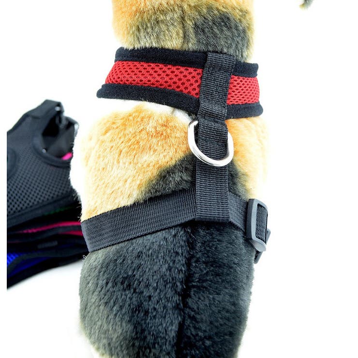 犬用ハーネス 単品 胴輪 | PlusNao | 詳細画像6 