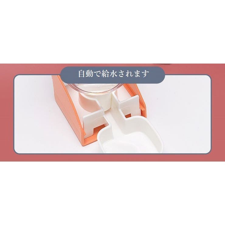 給水器 給水ボトル 水やり | PlusNao | 詳細画像16 