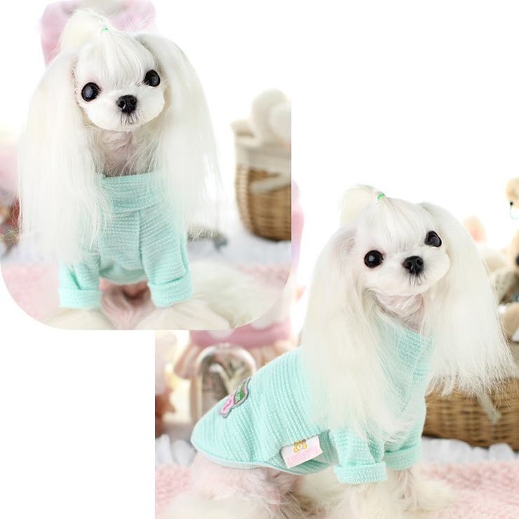 ドッグウェア カットソー Tシャツ | PlusNao | 詳細画像2