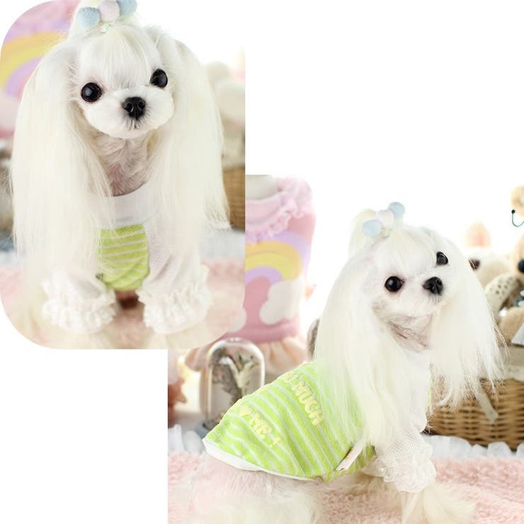 ドッグウェア カットソー Tシャツ | PlusNao | 詳細画像5