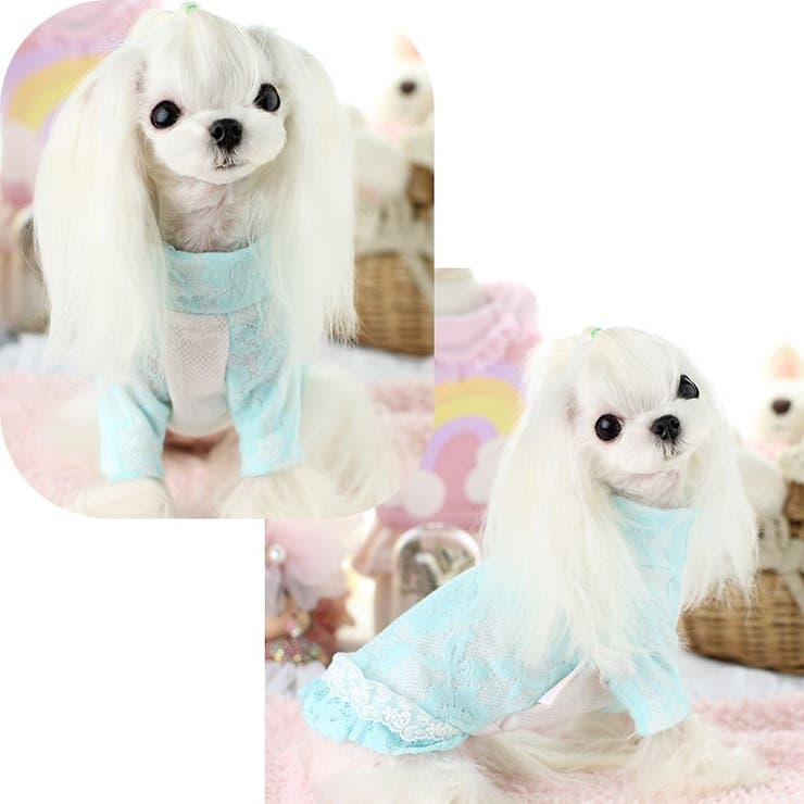 ドッグウェア カットソー Tシャツ | PlusNao | 詳細画像8