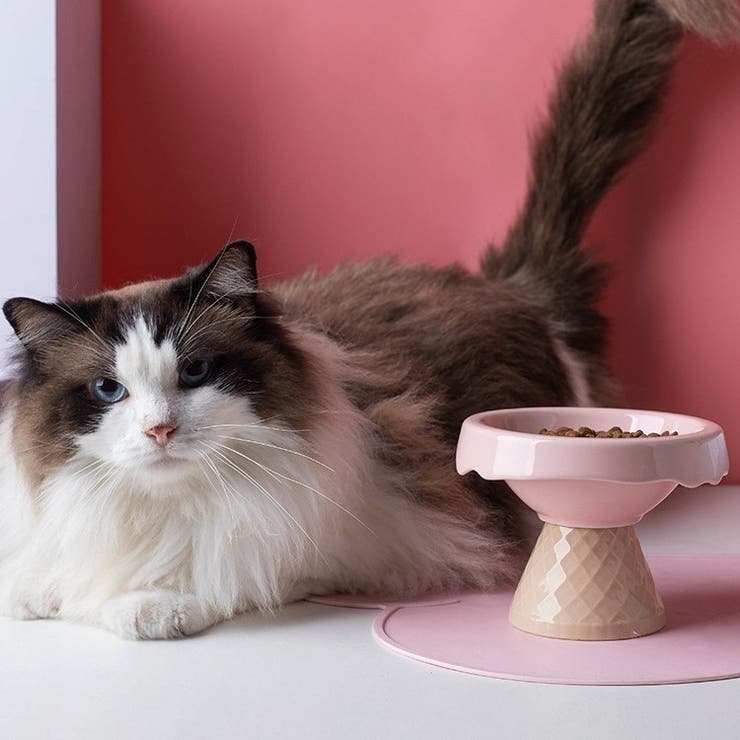 ペット用フードボウル ペット用食器 猫 | PlusNao | 詳細画像3 