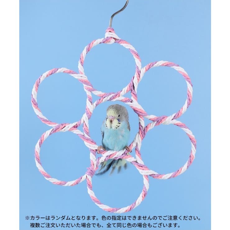 バードトイ 鳥の遊び場 ブランコ | PlusNao | 詳細画像3 