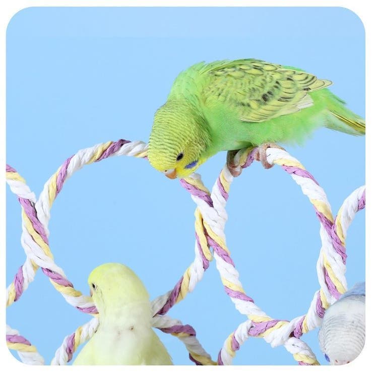 バードトイ 鳥の遊び場 ブランコ | PlusNao | 詳細画像4 