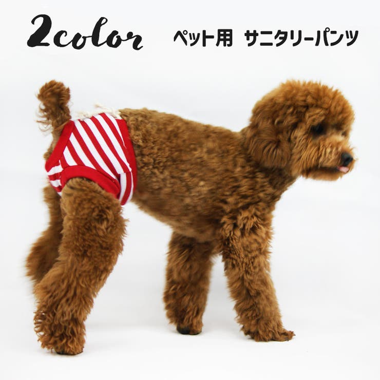 ペット用サニタリーパンツ 犬用 猫用[品番：FQ000189119