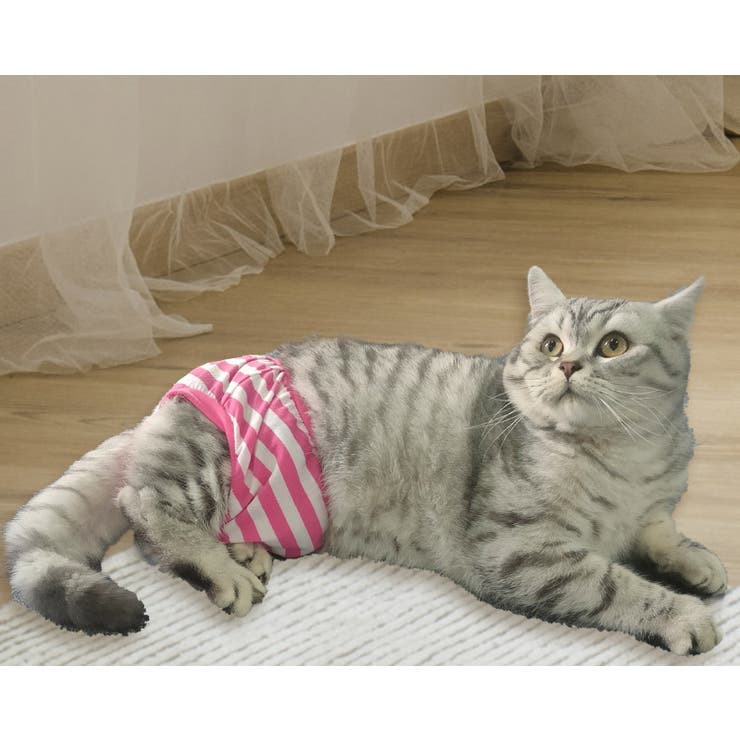 ペット用サニタリーパンツ 犬用 猫用[品番：FQ000189119]｜PlusNao 