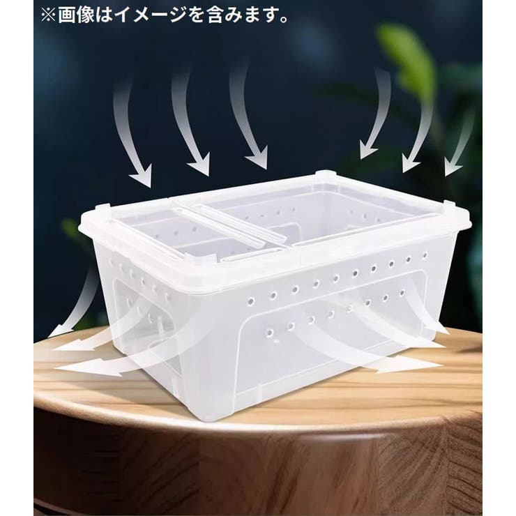 飼育ケース プラスチックケース プラケース | PlusNao | 詳細画像5 