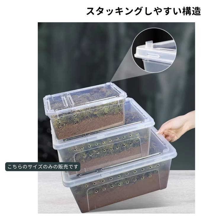 飼育ケース プラスチックケース プラケース | PlusNao | 詳細画像6 