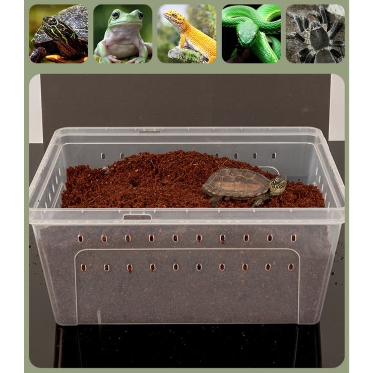 飼育ケース プラスチックケース プラケース | PlusNao | 詳細画像7 