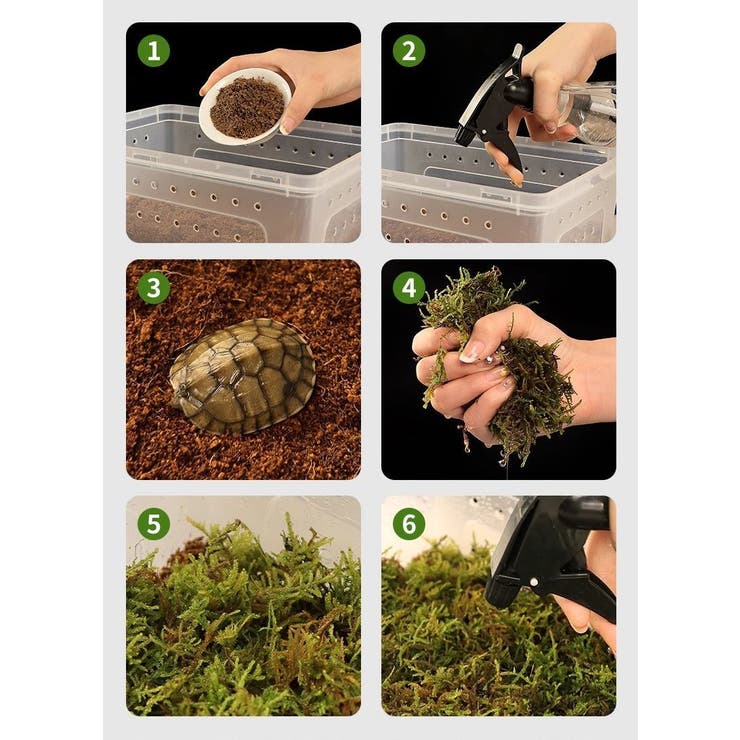 飼育ケース プラスチックケース プラケース | PlusNao | 詳細画像8 