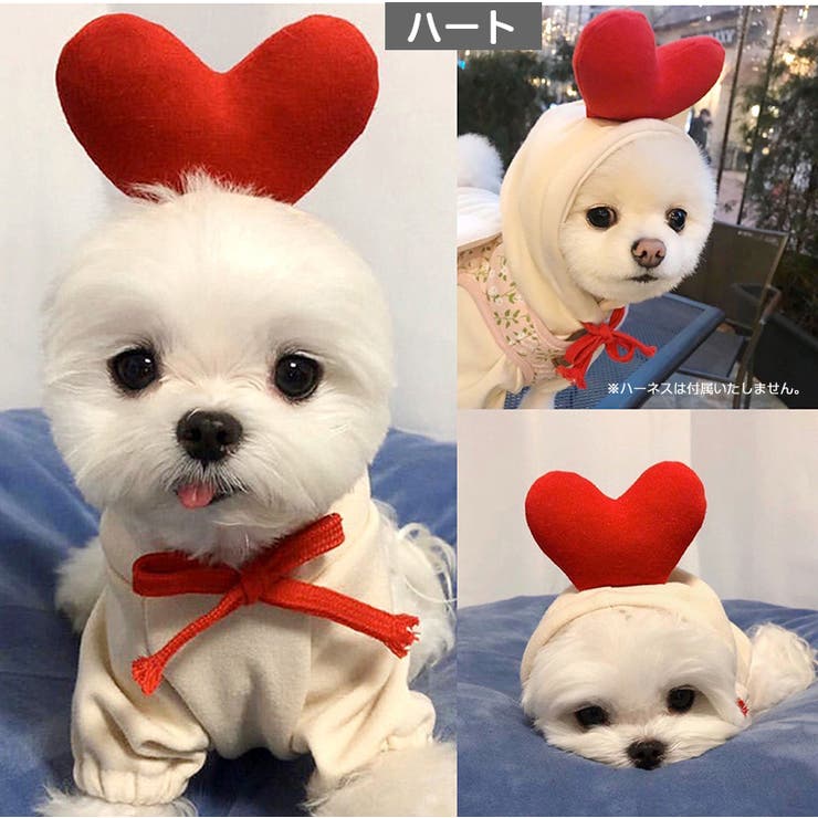 ペットウェア コスチューム 小型犬 | PlusNao | 詳細画像14 