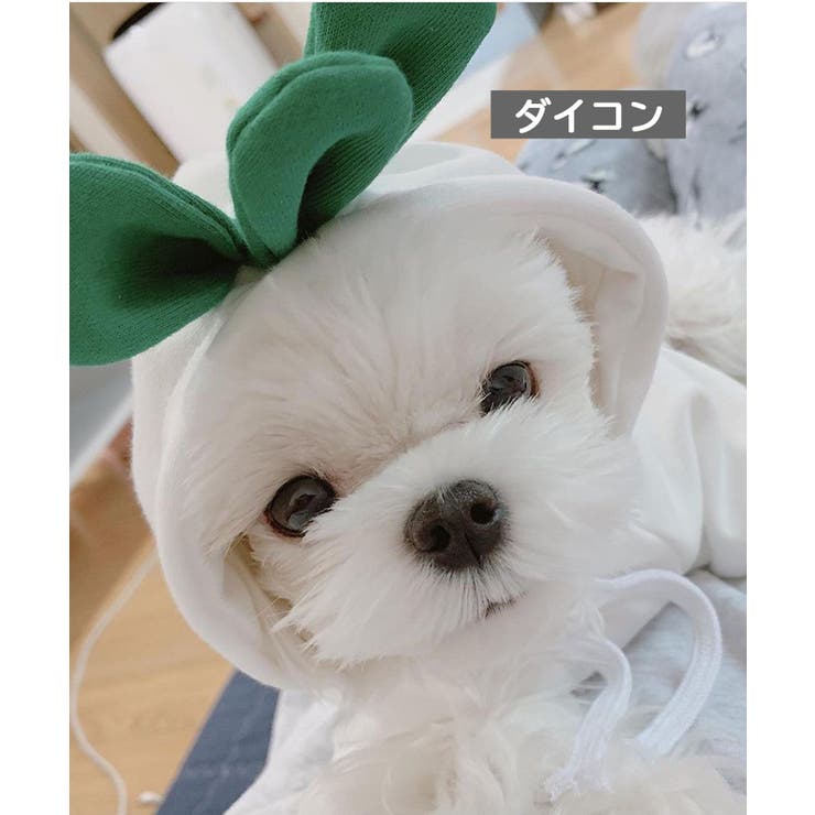 ペットウェア コスチューム 小型犬 | PlusNao | 詳細画像15 
