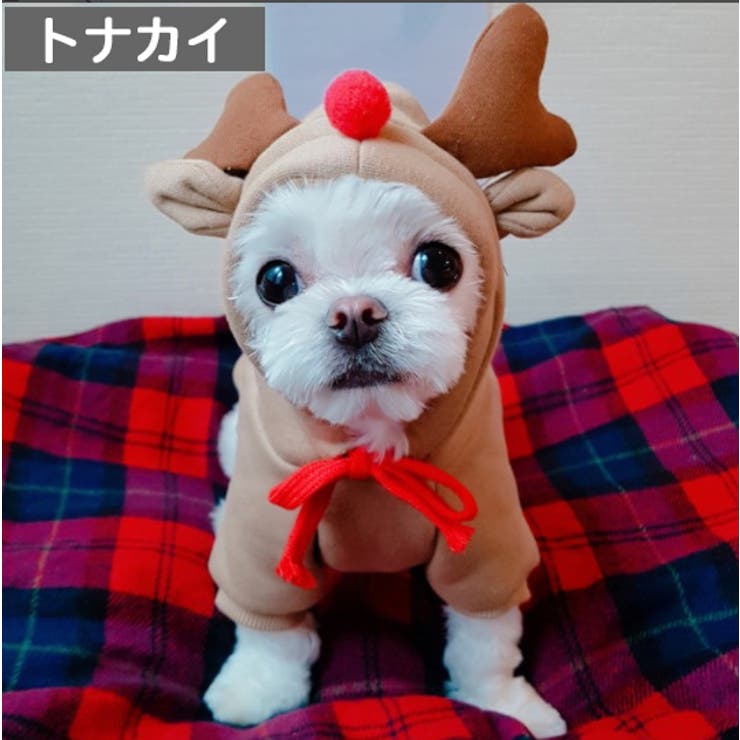 ペットウェア コスチューム 小型犬 | PlusNao | 詳細画像16 