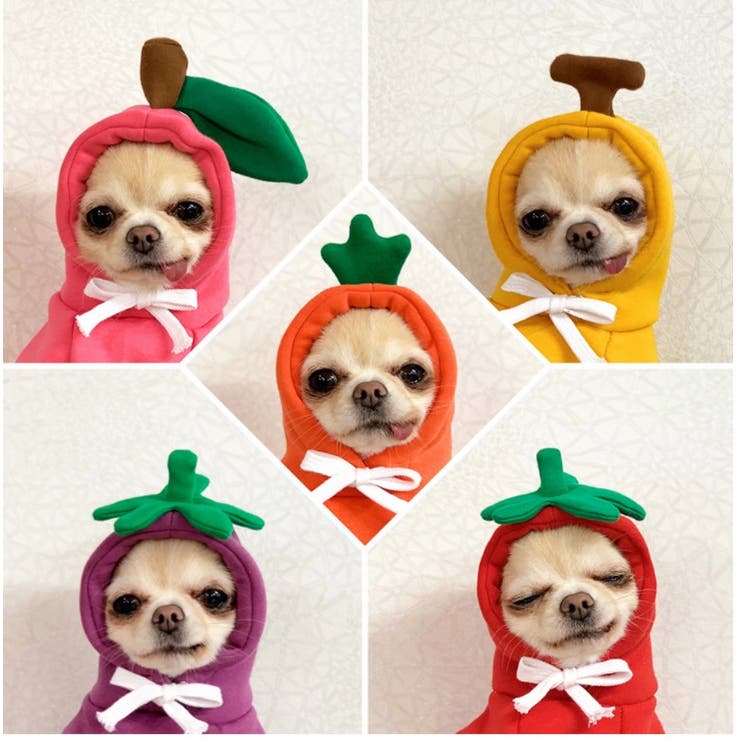 ペットウェア コスチューム 小型犬 | PlusNao | 詳細画像8 