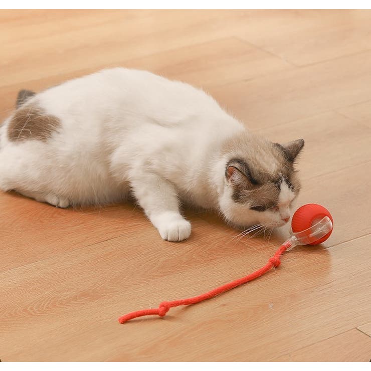 電動猫じゃらし ペット用おもちゃ 自動 | PlusNao | 詳細画像3 